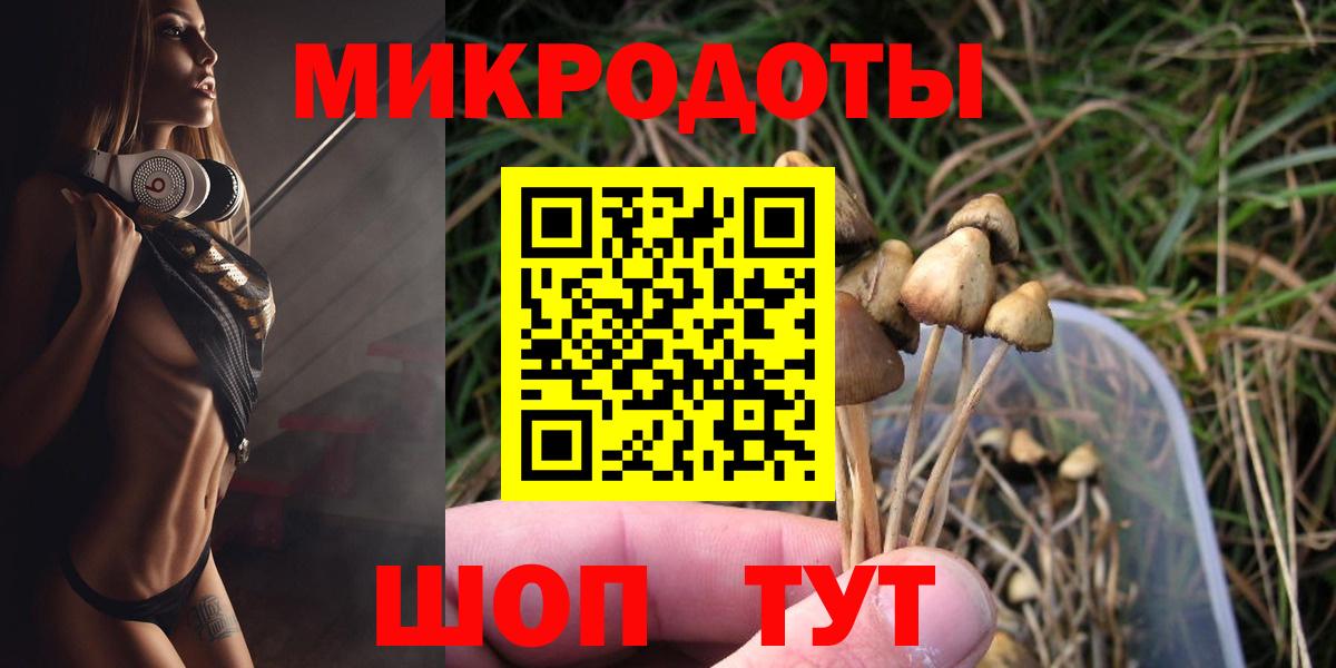 Галлюциногенные грибы Cubensis Алейск
