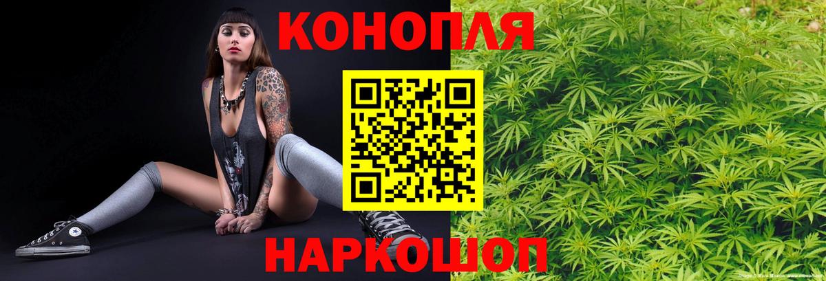МАРИХУАНА планчик  Вход с VPN  Алейск  Марихуана планчик  Бошки марихуана SATIVA & INDICA 